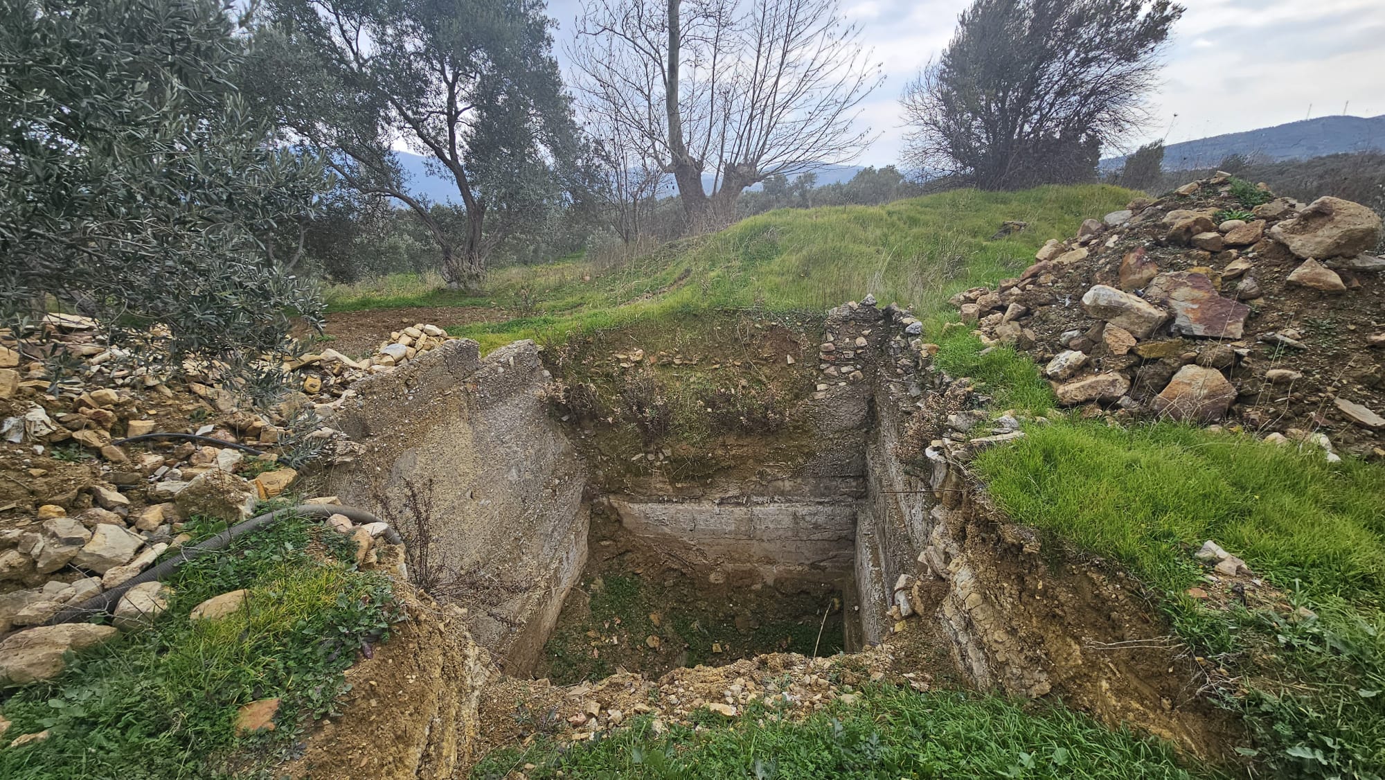 İZMİR TORBALI DAĞKIZILCA ZEYTİNKÖY 6200M2 SATILIK ZETİNLİ TARLA 6,200,000TL.