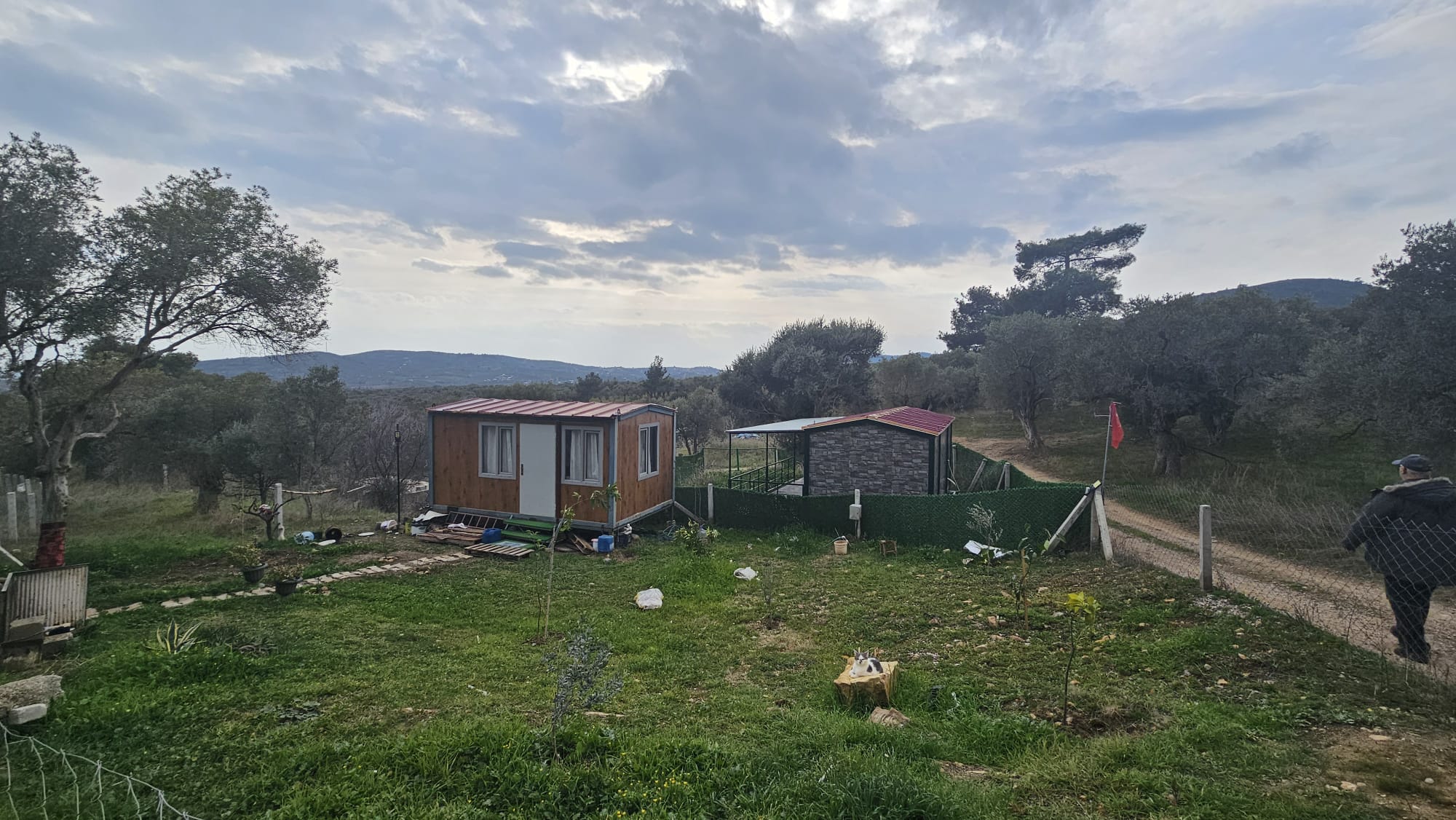 İZMİR TORBALI DAĞKIZILCA ZEYTİNKÖY 6200M2 SATILIK ZETİNLİ TARLA 6,200,000TL.