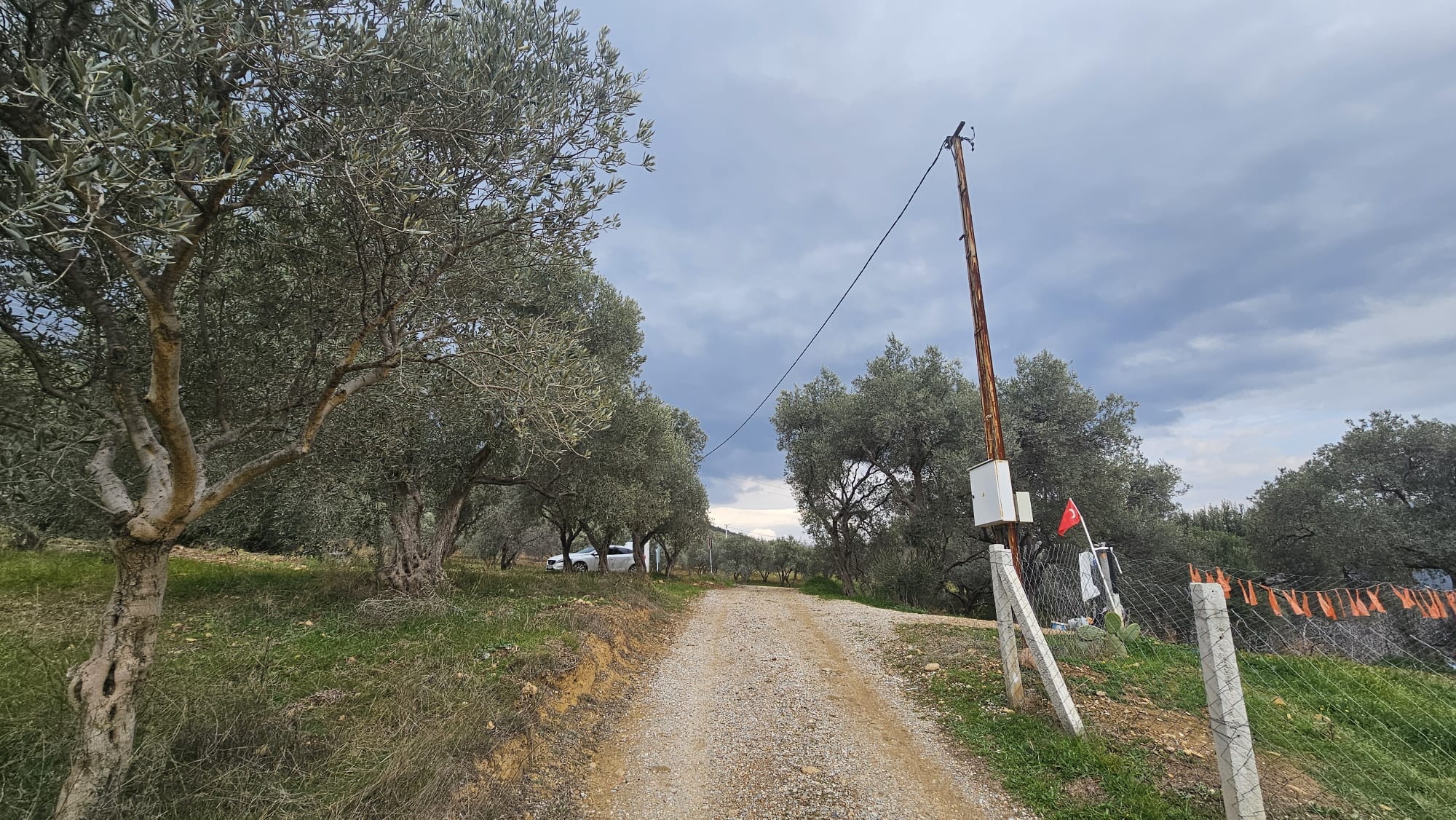 İZMİR TORBALI DAĞKIZILCA ZEYTİNKÖY 6200M2 SATILIK ZETİNLİ TARLA 6,200,000TL.